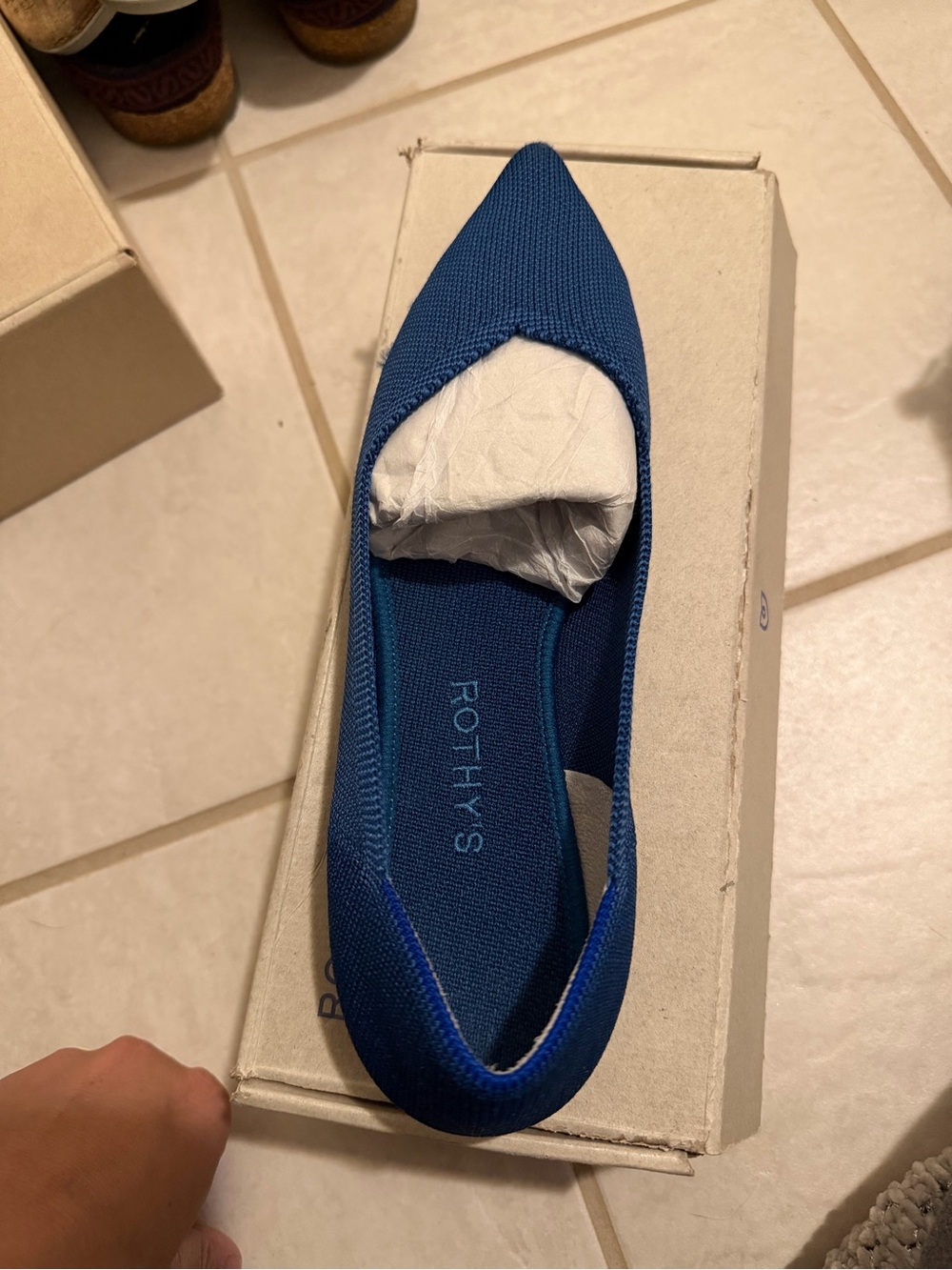 Rothy's Pointed Knit Flat in Blue